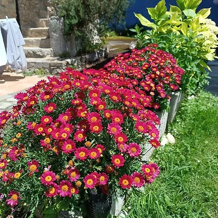 Romantico Acogedor En Llanes